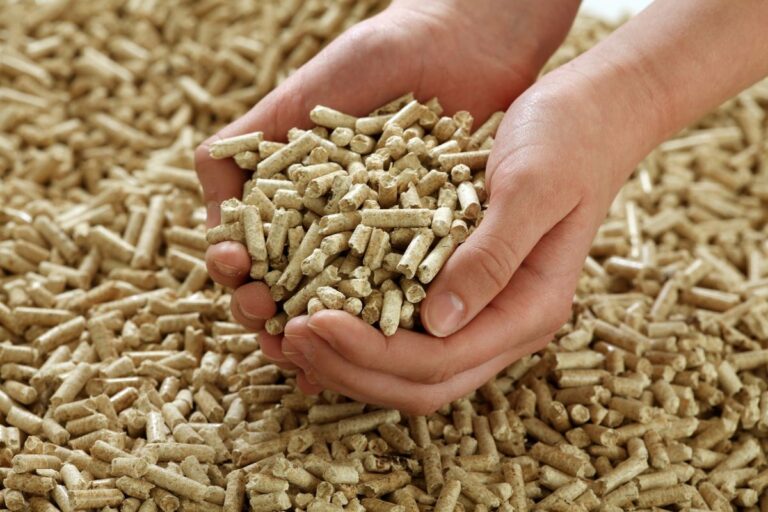 biomass-pellet (1)